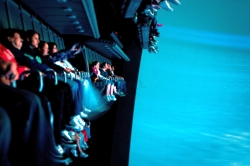 Soarin' Over California